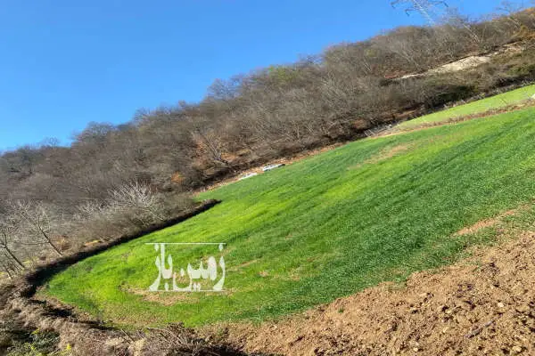 زمین ۲۰۰۰ متری کشاورزی در روستای پهنه کلا - تصویر 1