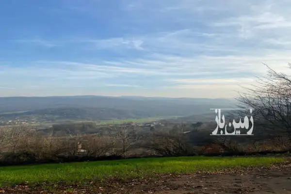 زمین ۲۰۰۰ متری کشاورزی در روستای پهنه کلا - تصویر 3