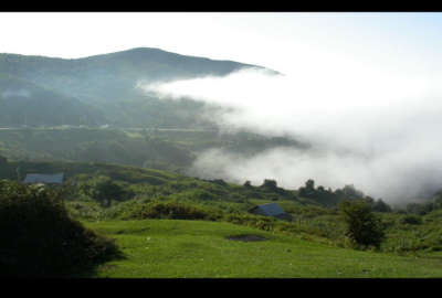 زمین در روستای عاشورآباد دیلمان ۳۱۰ متری