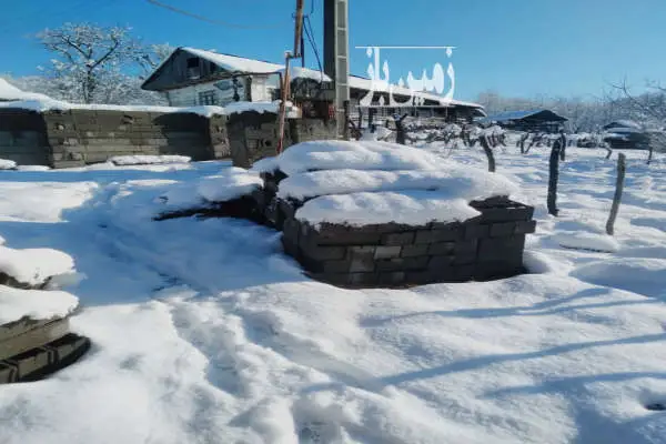 زمین مسکونی ۶۰۰ متر در لفور کالیکلا - تصویر 1