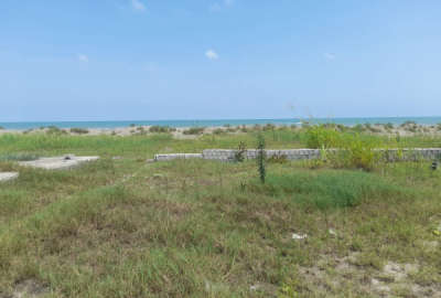 ۸۰۰ متر زمین پلاک ۱ دریا تاپ لوکیشن