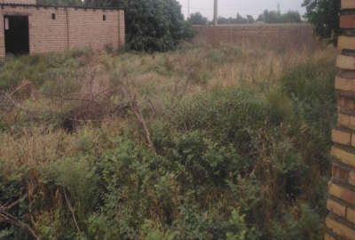 زمین ۵۰۰ متری واقع در روستای کاکا یه بر خیابان یه بر کوچه