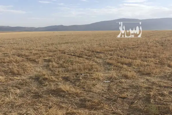 زمین کشاورزی ۱۲۰۰۰ متر در روستای خسروشیرین - تصویر 1