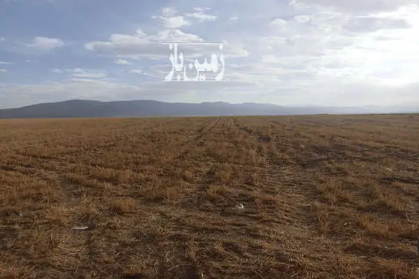 زمین کشاورزی ۱۲۰۰۰ متر در روستای خسروشیرین - تصویر 2