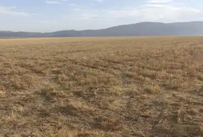 زمین کشاورزی ۱۲۰۰۰ متر در روستای خسروشیرین