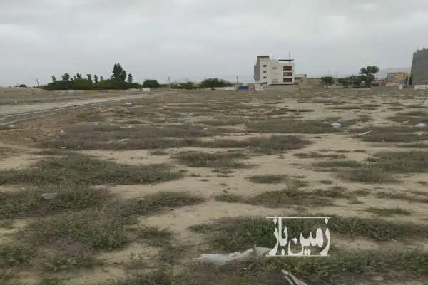 ۲۰۰ متر از زمین های صدرا سند دار لوکیشن عالی - تصویر 2