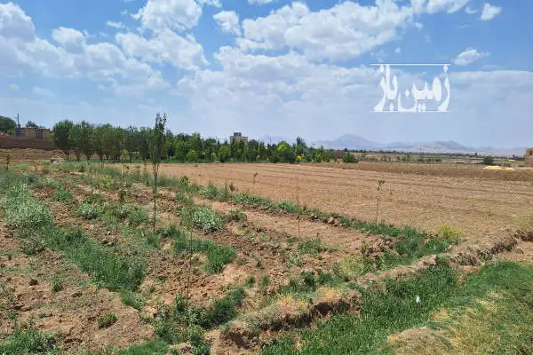۱۰۰۰متر زمین در روستای اسدآباد دارای آب - تصویر 2