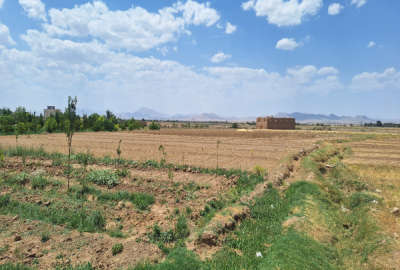 ۱۰۰۰متر زمین در روستای اسدآباد دارای آب