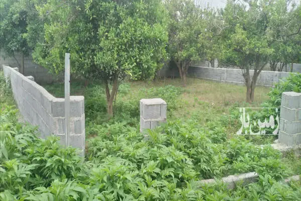 زمین مسکونی ۲۱۳ متری دونبش با پروانه ساخت روستای خرما کلا - تصویر 3