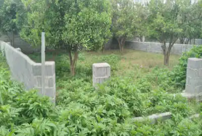 زمین مسکونی ۲۱۳ متری دونبش با پروانه ساخت روستای خرما کلا