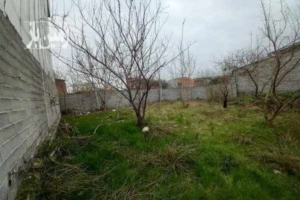 زمین مسکونی شهری واقع در کفشگرکلا ۲۵۶ متر - تصویر 3