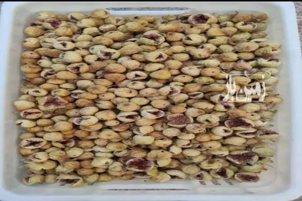 باغ انجیری دارای اتاق و ۲۰ درخت انجیر ۱۰۰۰ متر زمین - تصویر 3