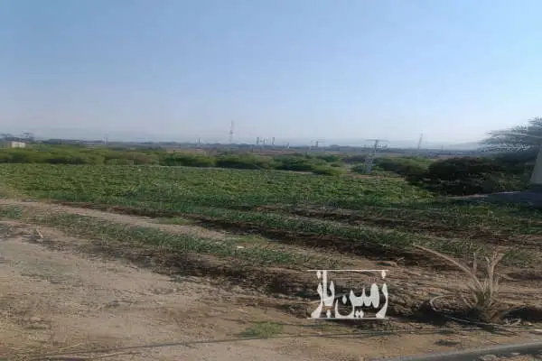زمین کشاورزی رودان روستای برنطین ۶۵۰۰ متر - تصویر 3