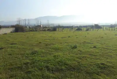 زمین جاده آب پری روستای کاسگرمحله باویوی عالی ۱۰۰۰ متر