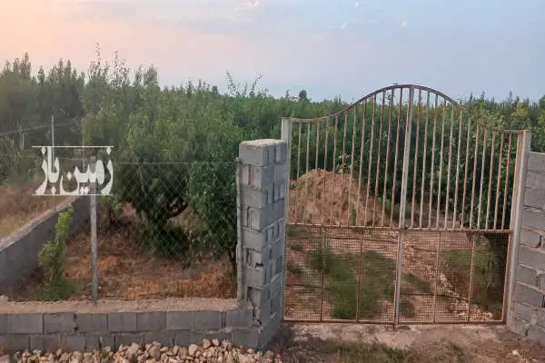 زمین ۱۸۰۰ متری روستای ولاشد نکا انتهای محل - تصویر 3