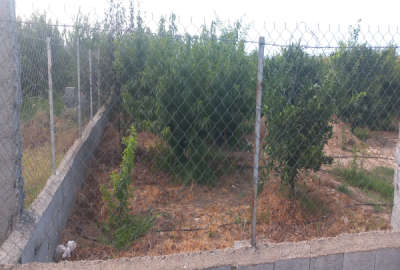 زمین ۱۸۰۰ متری روستای ولاشد نکا انتهای محل