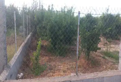 زمین ۱۸۰۰ متری روستای ولاشد نکا انتهای محل