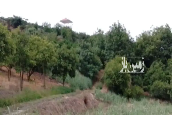 زمین باغی یا کشاورزی با متراژ ۲۰۰۰ متری روستای ریکنده - تصویر 1