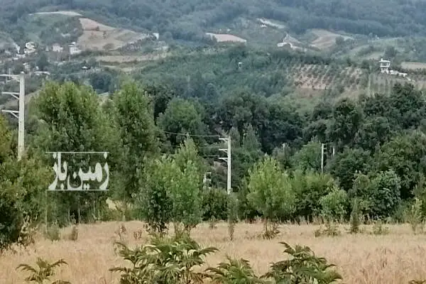 زمین باغی یا کشاورزی با متراژ ۲۰۰۰ متری روستای ریکنده - تصویر 2