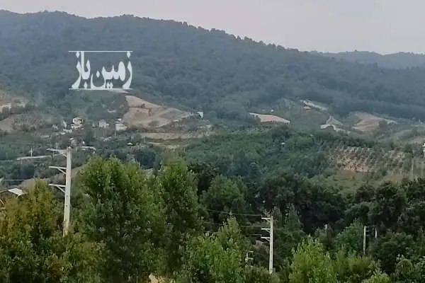 زمین باغی یا کشاورزی با متراژ ۲۰۰۰ متری روستای ریکنده - تصویر 3