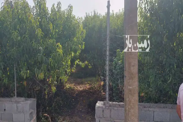 ۱۰۰۰ متر در ابتدای گلما امکانات نزدیک زمین - تصویر 2