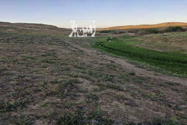 زمین باغی روستای ایوک ۱۲ کیلومتری جاده ملایر ۳۱۱۵ متری-2