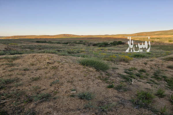 زمین باغی روستای ایوک ۱۲ کیلومتری جاده ملایر ۳۱۱۵ متری-4