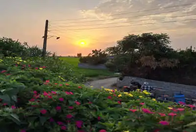 ۲۰۰ متر زمین قیمت مناسب (داخل بافت) ویو دریاچه شالیزار