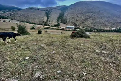 ۴۵۰ متر زمین مسکونی در منطقه زیبای کلاردشت