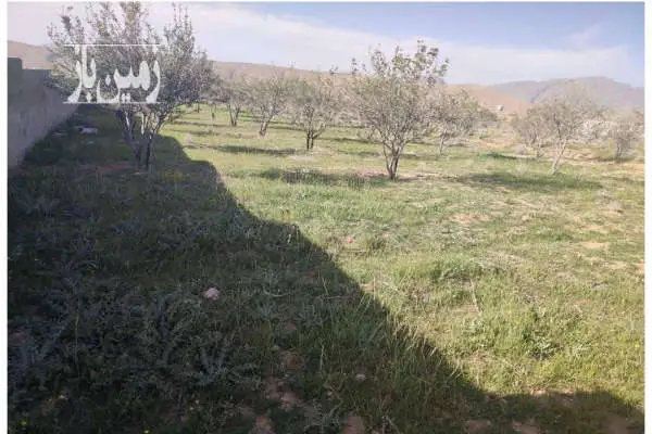 باغ ۱۰۰۰ متری سنددار ۳۰ کیلومتری شیراز داریان - تصویر 2