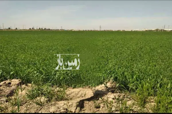 زمین ۶ هکتاری اتوبان شورآباد به سمت واوان - تصویر 2