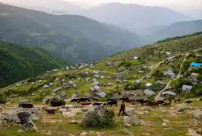زمین ییلاقی ۱۰۰۰ متر در بندپی شرقی نرسیده به ییلاق گلیران