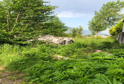 زمین ۷۰۰ در روستای ملکار خیابان کشاورز