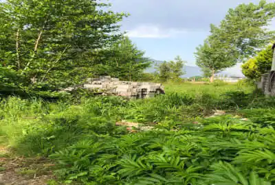 زمین ۷۰۰ در روستای ملکار خیابان کشاورز