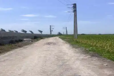 زمین باغی چسبیده به جاده اصلی در دابودشت روستای اشکار کلا