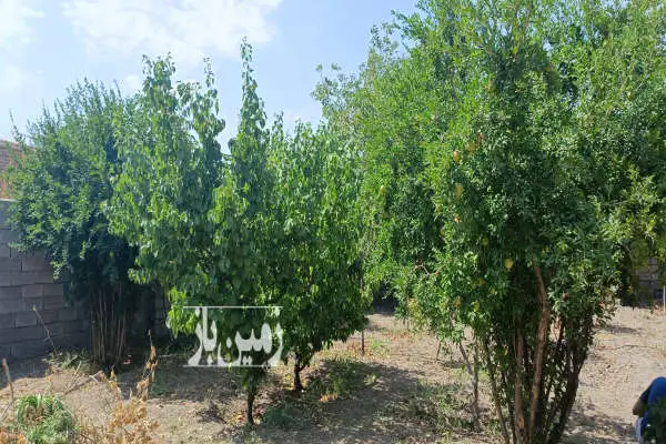 زمین مسکونی ۶۸۴ متر داخل بافت روستای باقر آباد کرد - تصویر 3