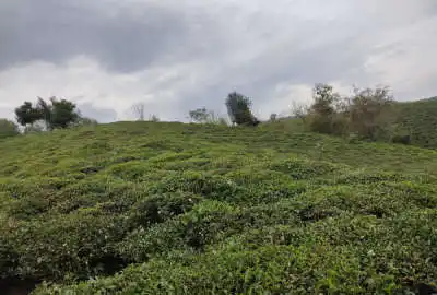 زمینی به مساحت ۵۰۰ متر در سطلسر بر جاده دوبر