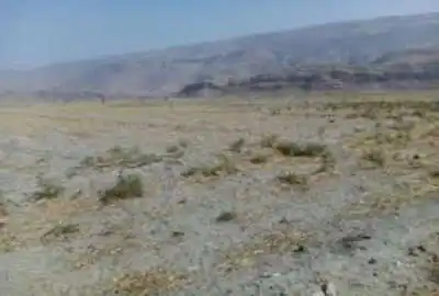 یک هکتار زمین کشاورزی مناسب کشت پسته و بادام