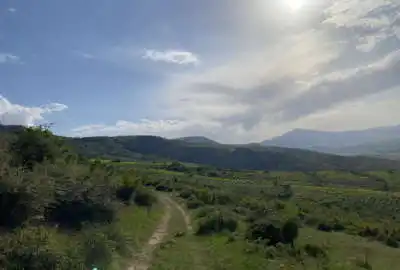 باغ انگور ۴۵۰۰ متری در بهترین منطقه توریستی روستای آزادگان