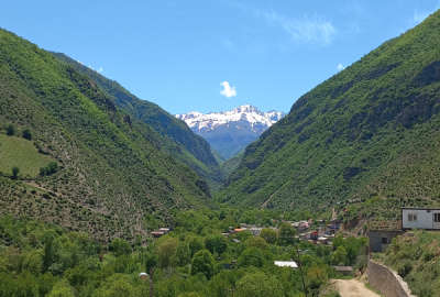 زمین بر جاده اصلی ۱۰۰۰ متر دشت نظیر روستای سما کجور