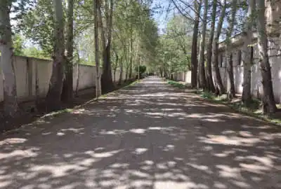 زمین شهرکی چهارصد متر با پنجاه اصله درخت مثمر در سرخاب