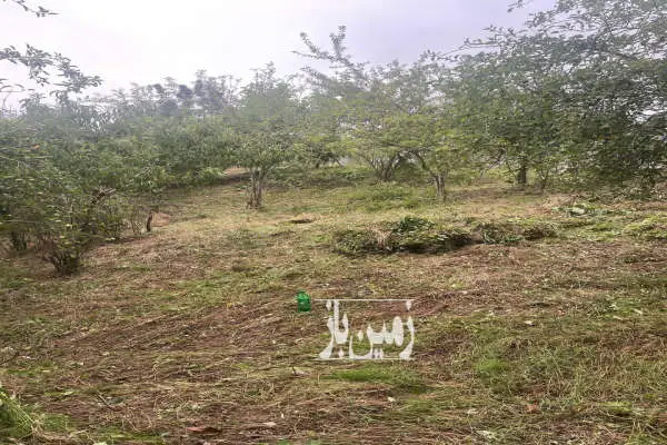 زمین مسکونی ۵۰۰ متری واقع در روستای سوادکوه بنام بهمنان - تصویر 3