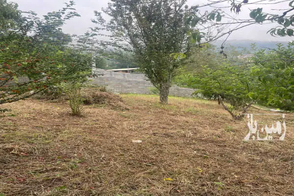 زمین مسکونی ۵۰۰ متری واقع در روستای سوادکوه بنام بهمنان - تصویر 4