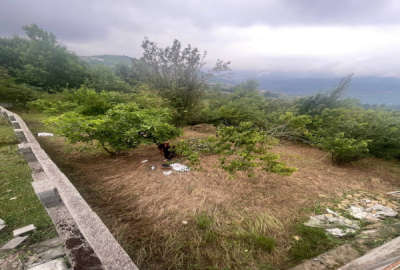 زمین مسکونی ۵۰۰ متری واقع در روستای سوادکوه بنام بهمنان