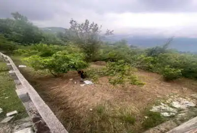 زمین مسکونی ۵۰۰ متری واقع در روستای سوادکوه بنام بهمنان