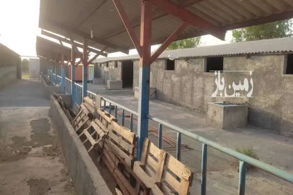 یازده هکتار زمین آبی به همرا گاوداری و ویلا در دشت ماهیدشت - تصویر 3