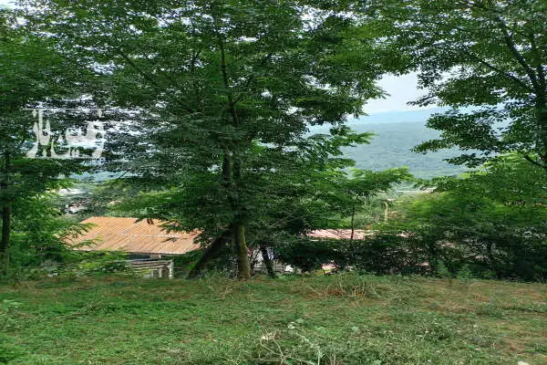 زمین مسکونی داخل بافت روستای اساس به متراژ ۲۳۰ متر - تصویر 2