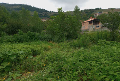 زمین مسکونی داخل بافت روستای اساس به متراژ ۲۳۰ متر
