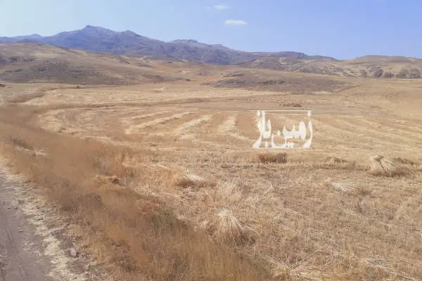 دو قطعه زمین روستای مرادلو بخش هوراند بغل آسفالت - تصویر 1