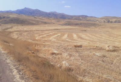 دو قطعه زمین روستای مرادلو بخش هوراند بغل آسفالت
